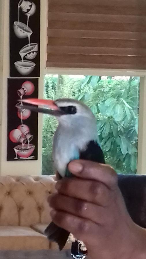Ikaze B&B Kigali Zewnętrze zdjęcie